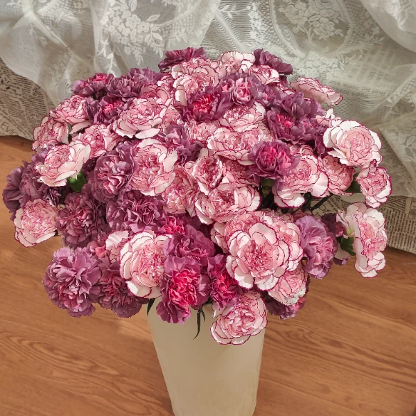 【插花组合】野马加紫精灵康乃馨插花组合云南鲜花直发醒花