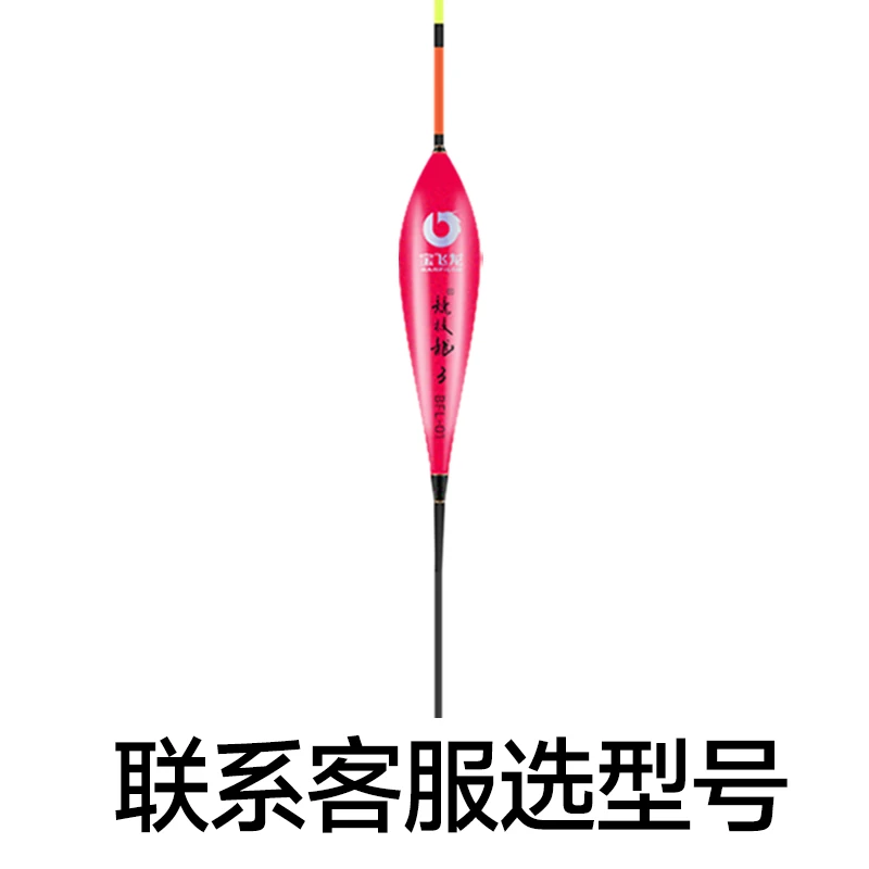 竞技龙炫彩纳米鱼漂