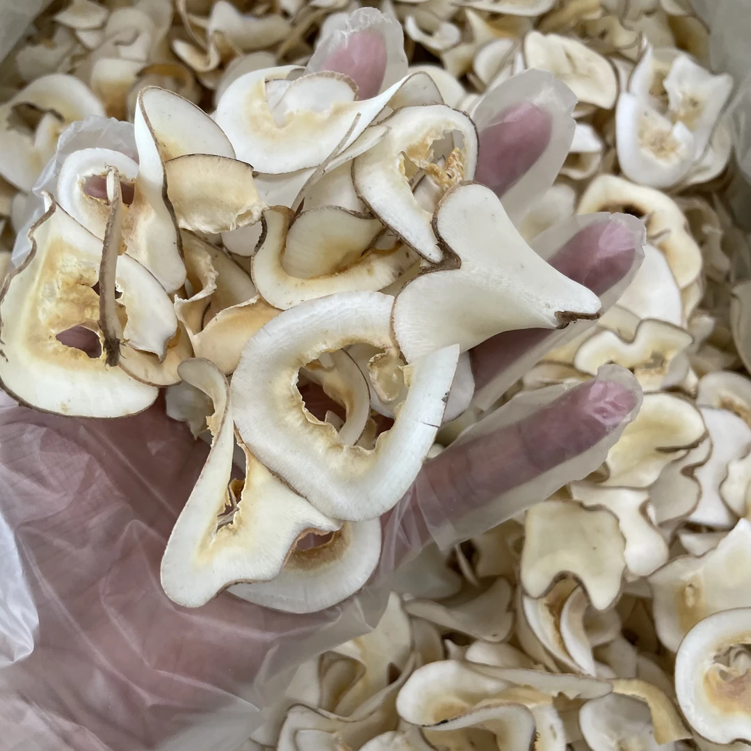 【凤姐甄选】无硫海底椰片可煮水煲汤250克-500克包邮