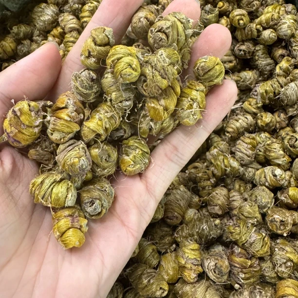 【凤姐甄选】铁皮霍斛粒 铁皮石斛可煲汤煮水100克-500克包邮