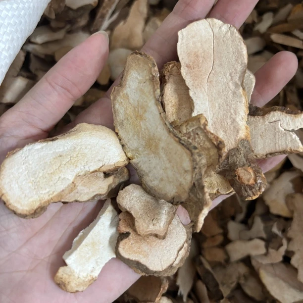【凤姐甄选】纯野粉质土茯苓可煮水煲汤250克-500克包邮