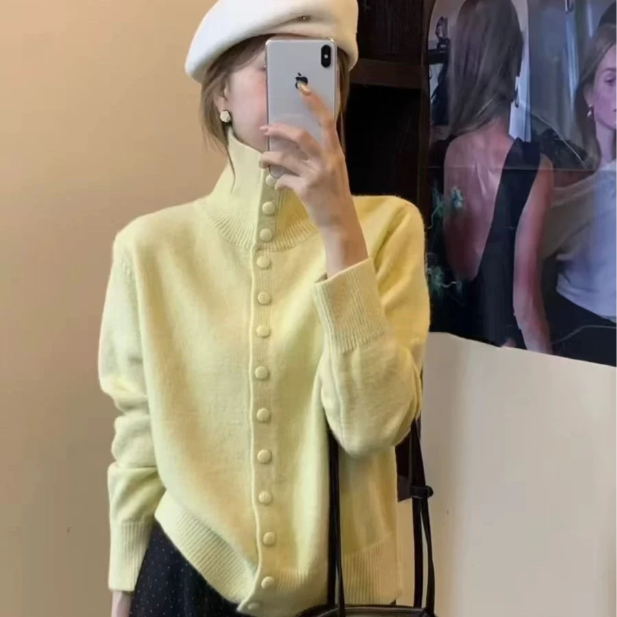 韩系立领单排扣毛衣女2024冬季新款款宽松慵懒风软糯针织开衫上衣