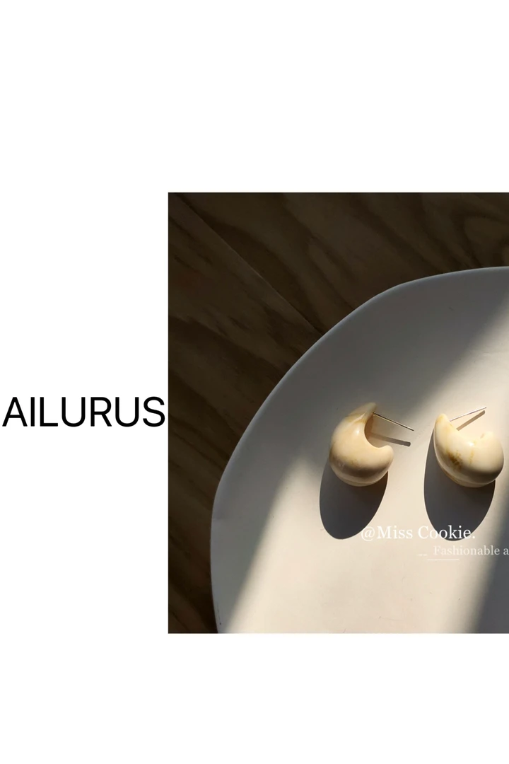 非金属亚克力耳饰 2024高端欧货亚克力银针水滴时尚气质小众耳环