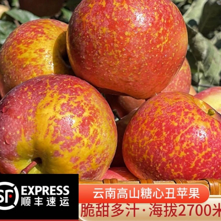 【顺丰快递】大理高山糖心丑苹果 新鲜采摘 净重5/9斤