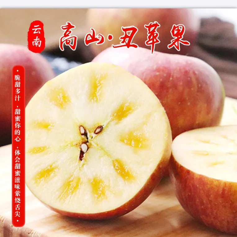 大滇五朵云【云南高山丑苹果】大理高山糖心丑苹果 新鲜采摘  5/9斤