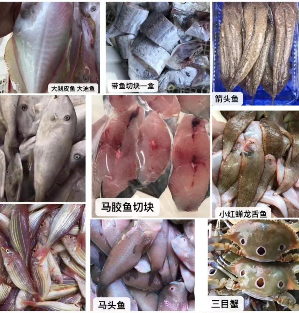 临时链接（现称螃蟹）看到是什么海鲜就是什么