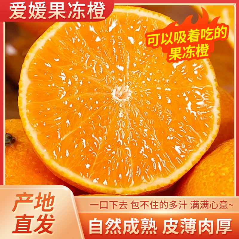 正宗四川眉山爱媛果冻橙当季新鲜皮薄多汁手剥橙子5/8斤现摘现发