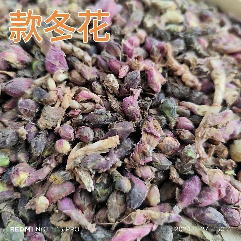 款冬花今年新货款冬花款冬花