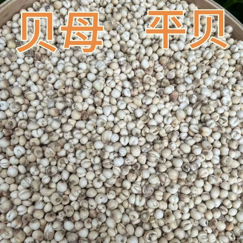 贝母  高山 贝母 本色小粒 搭配麦冬百合煮水蒸雪梨炖汤