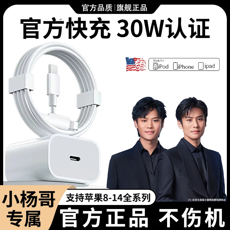 30W适用苹果充电PD头数据线快充14/13官方推荐器平板手机原装通用
