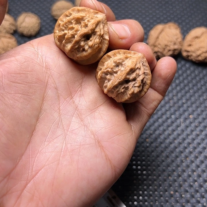 文玩核桃吊坠暴龙蝴蝶