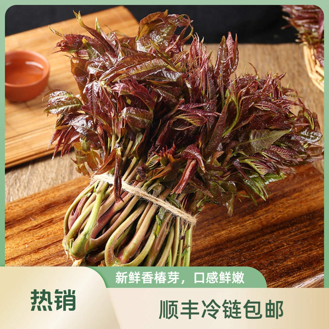 【顺丰/京东】头茬香椿芽新鲜现摘鲜嫩香椿非冷冻现摘头茬嫩芽新鲜