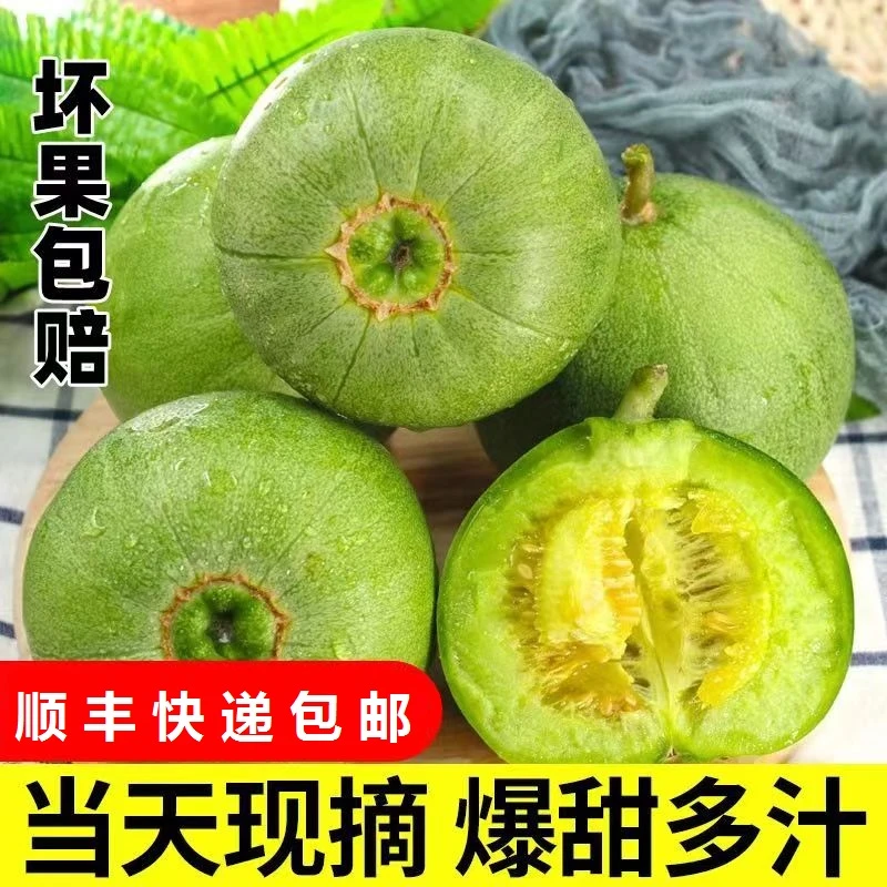 【顺丰快递】头茬现摘绿宝石甜瓜香瓜人工采摘遵循自然农法五斤包邮