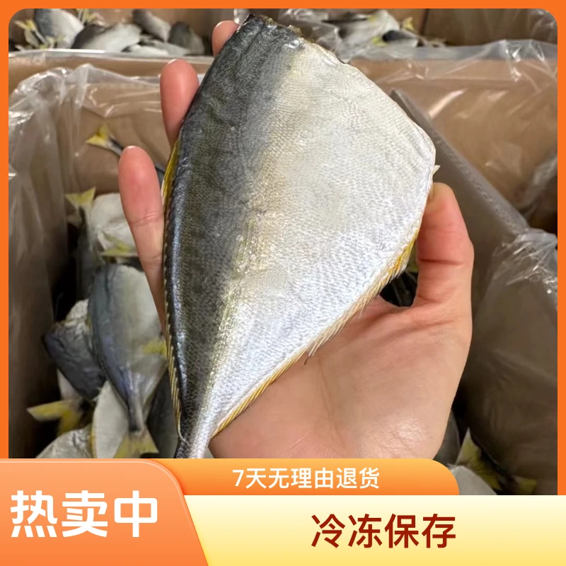 台山淡口虾池鱼 8成干