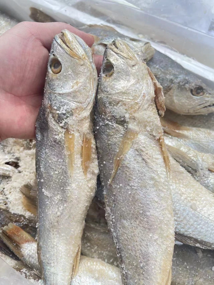 台山川岛 梅香三牙香港香三牙（两条装）