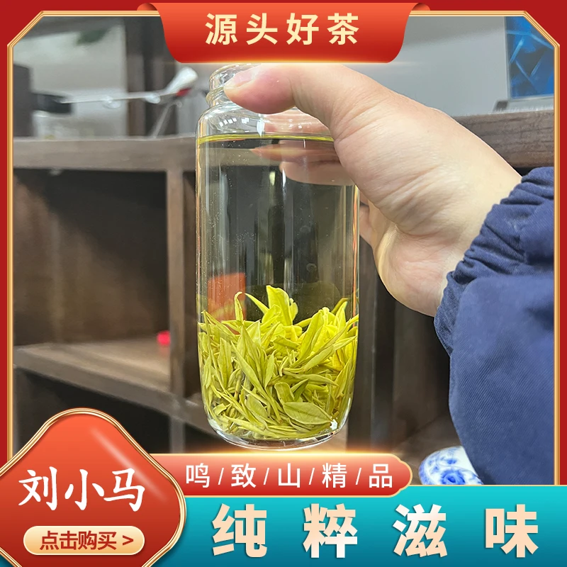 【纯粹滋味】2024安吉刘小马高山白茶芽头壮实香气足口感鲜爽春季