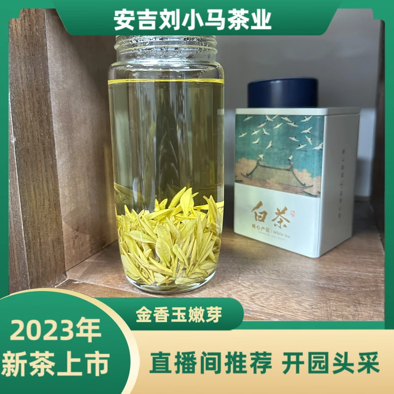 【小马推荐】安吉2023年新茶叶金香玉白茶开园头采花香嫩芽送礼茶