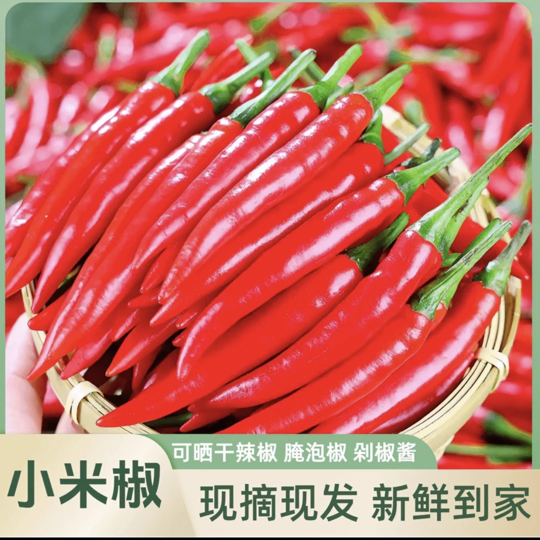 云南露天山地种植小米辣特辣新鲜辣椒可泡椒现摘现发新鲜发货超辣