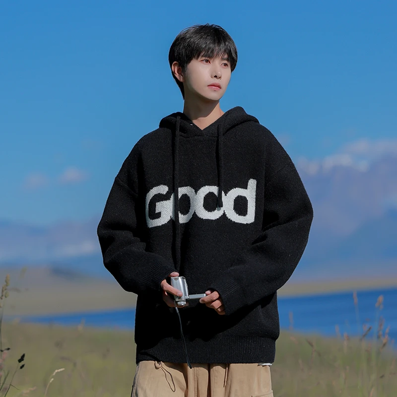 连帽毛衣男2024秋冬新款潮流百搭学生休闲时尚衣服保暖长袖  8802