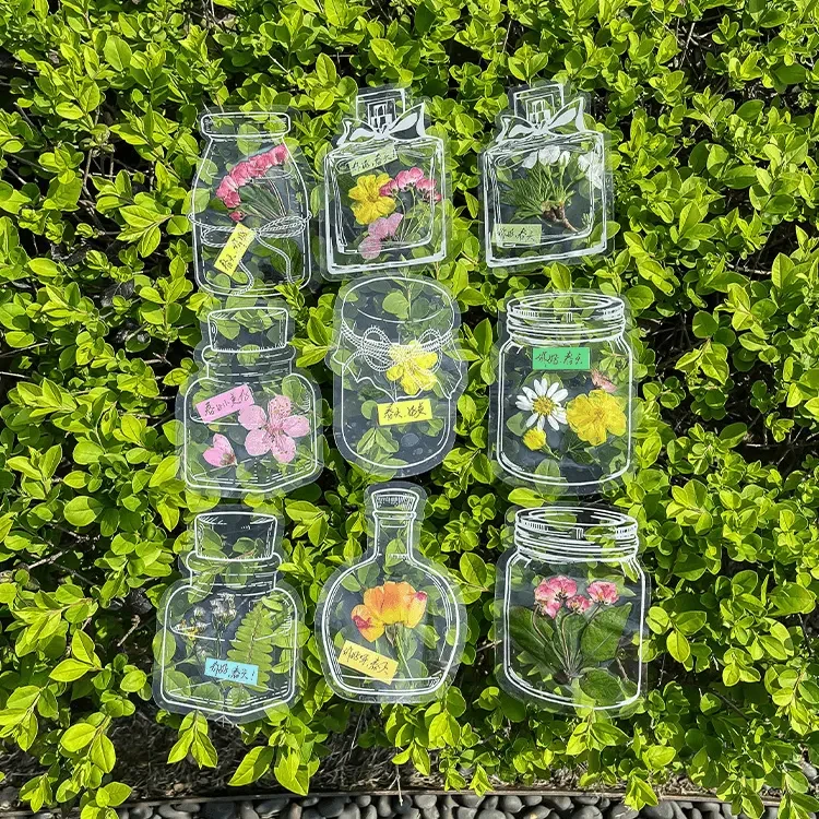 瓶子里的秋天透明贴纸创意干花书签树叶标本春收集手工DIY贴纸