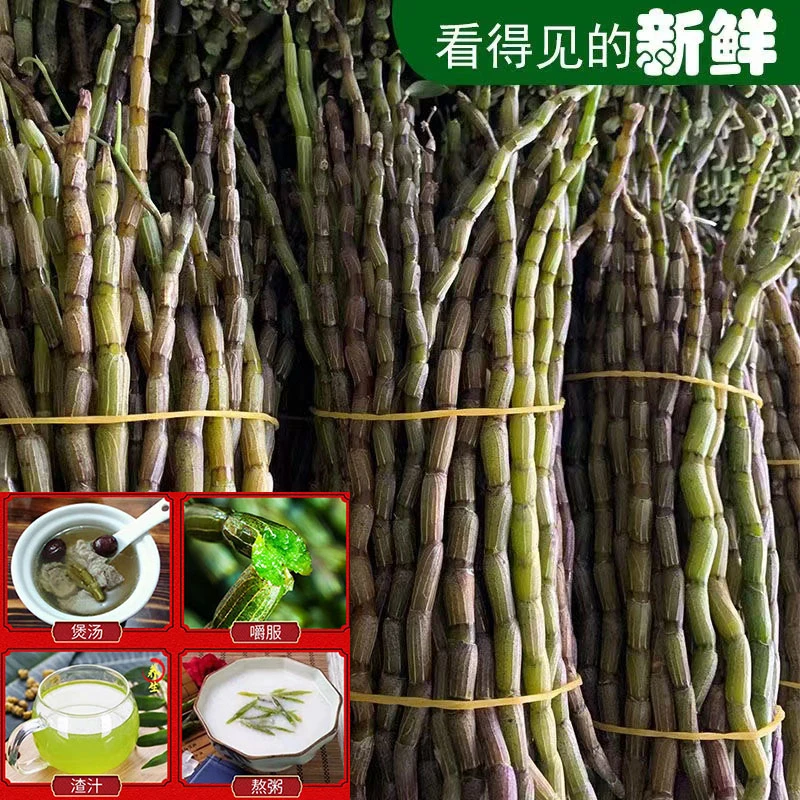 现剪新鲜铁皮石斛鲜条正品四年露天生铁皮石斛胶饱满质石斛花枫斗