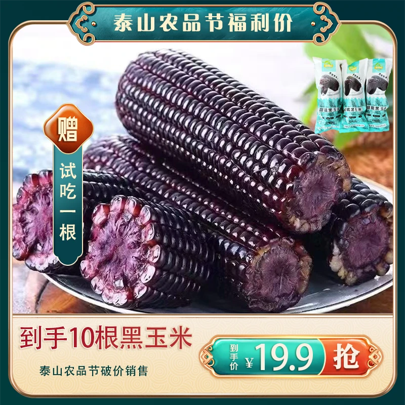 试吃1支 到手10根 头茬软糯香甜黑糯玉米新鲜甜糯真空包装