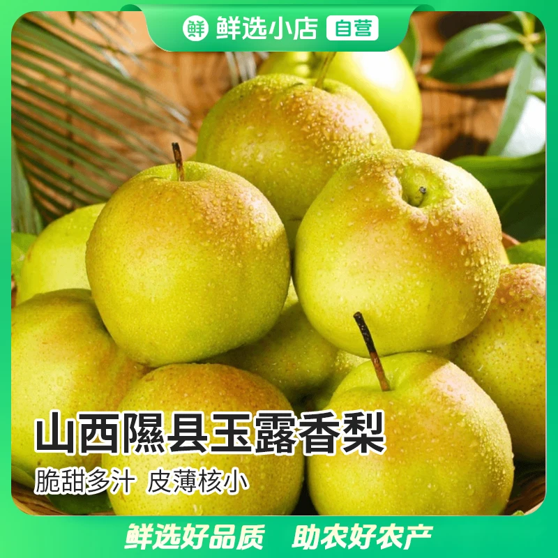 隰县玉露香梨【顺丰/京东】净重2-8斤山西隰县玉露香梨新鲜梨子礼盒