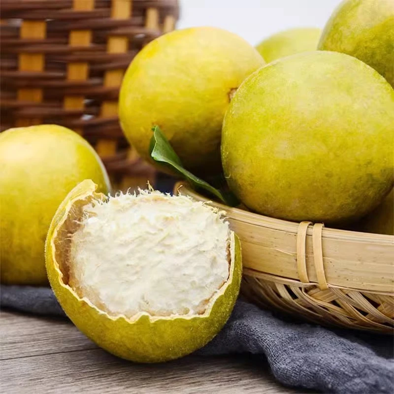 【喉咙之友】桂林特产 低温脱水罗汉果黄金罗汉果