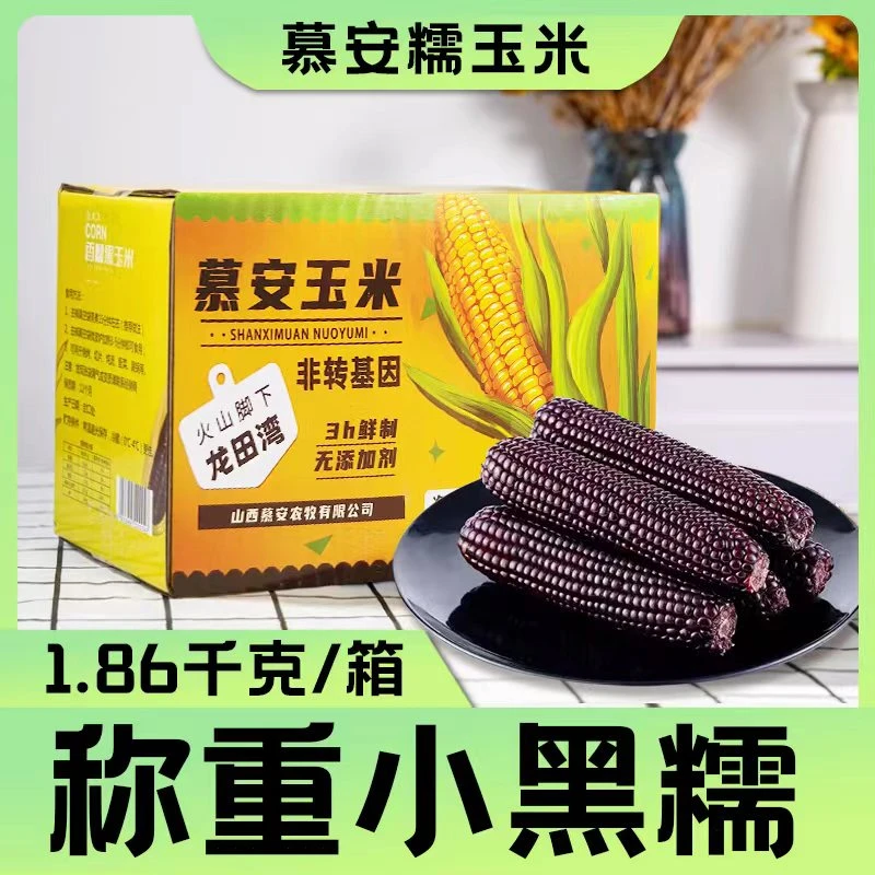 【贾俊杰专属】2023头茬龙田湾黑糯玉米1.86kg/箱约8根真空包装