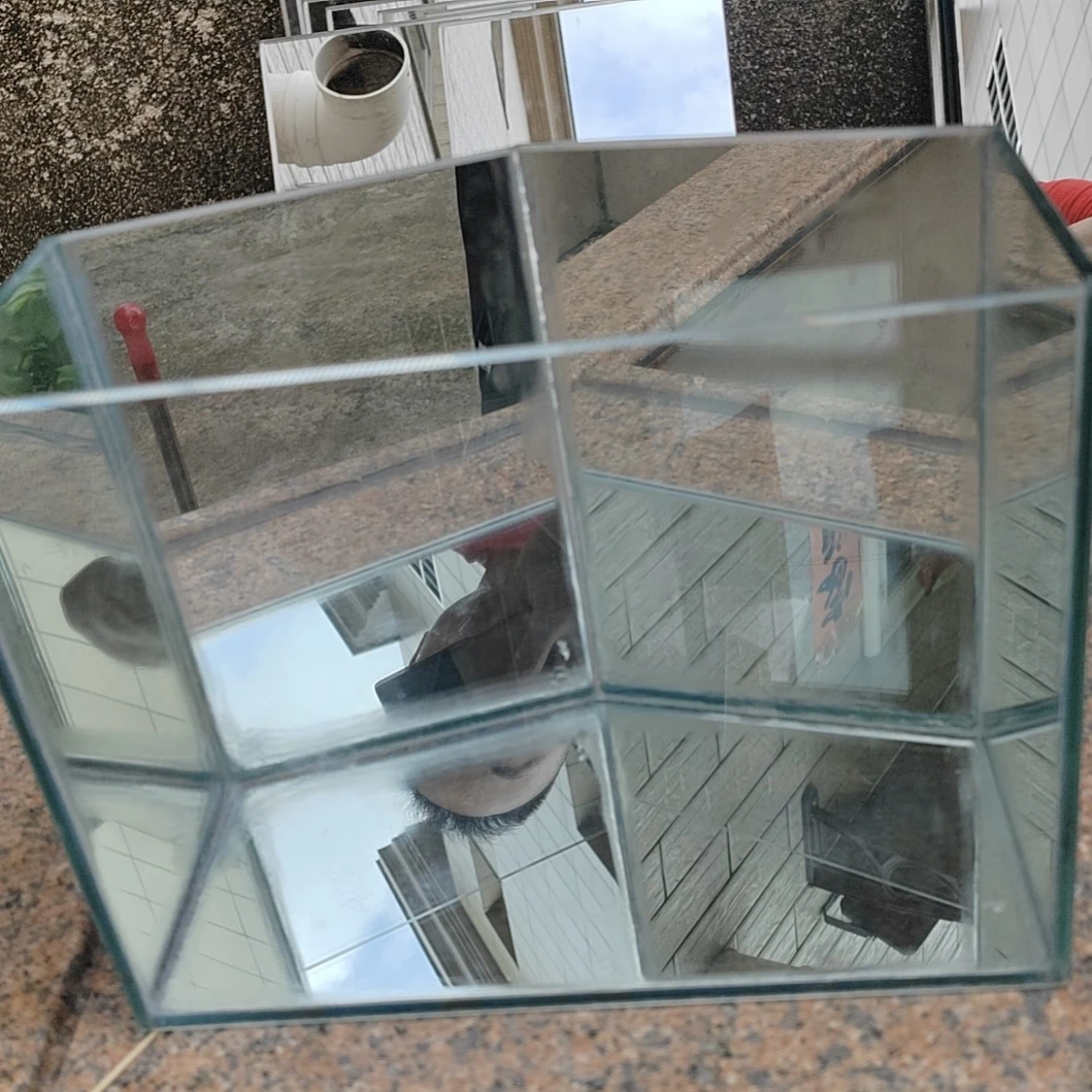 斗鱼展示缸，斗鱼专用