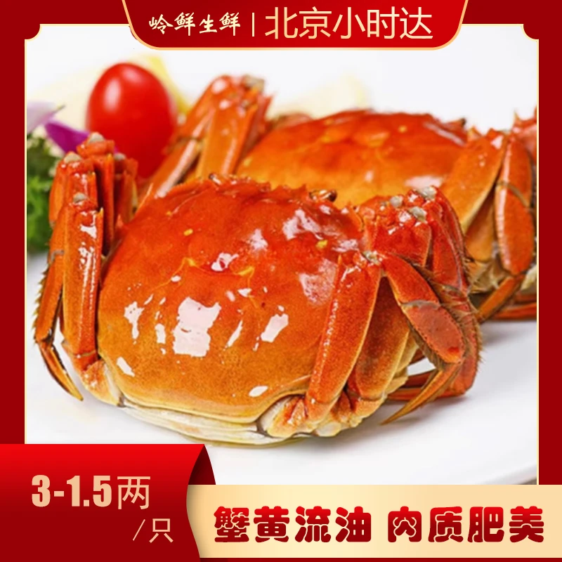 【鲜活大闸蟹】太湖全母保活清水大闸蟹{送蟹醋}