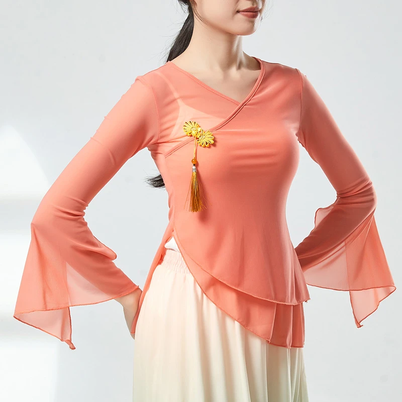 古典舞服装仙气飘飘纱衣身韵练功服民族舞上衣女中国风舞蹈服飘逸