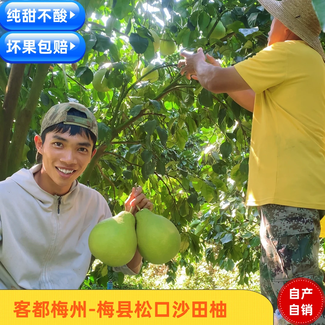 【小袋尝鲜】柚子正宗梅州沙田柚新鲜水果多汁老树柚子香甜清甜产地