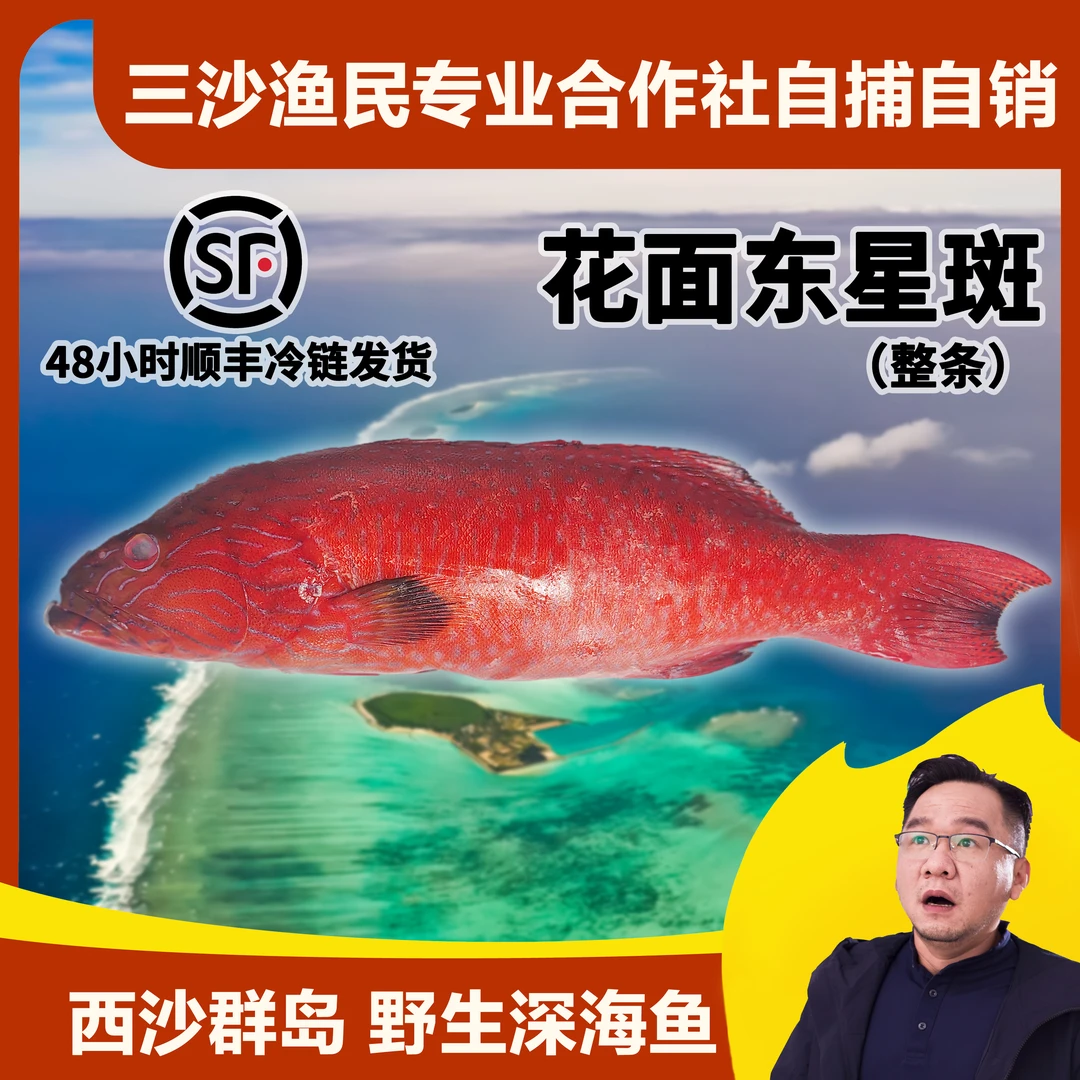 野生东星斑花面花脸东星斑西沙钓口速冻锁鲜到手一条1200-1300g