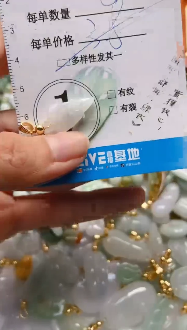 【闪购商品】翡翠颈饰未镶嵌闪购0049904多样性发其一