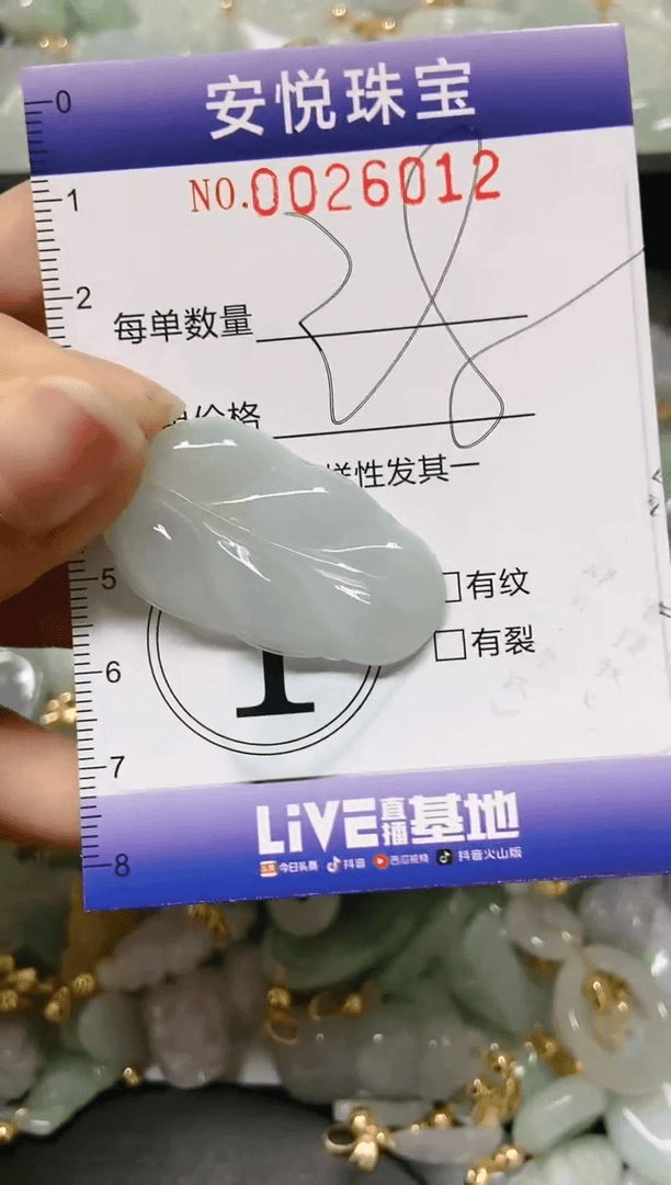 【闪购商品】翡翠颈饰未镶嵌闪购0026012