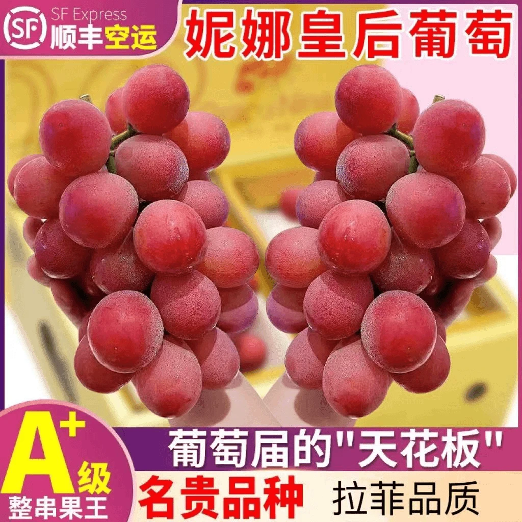 云南妮娜皇后饱满口感鲜甜葡萄孕妇当季新鲜水果爆汁无籽现摘现发