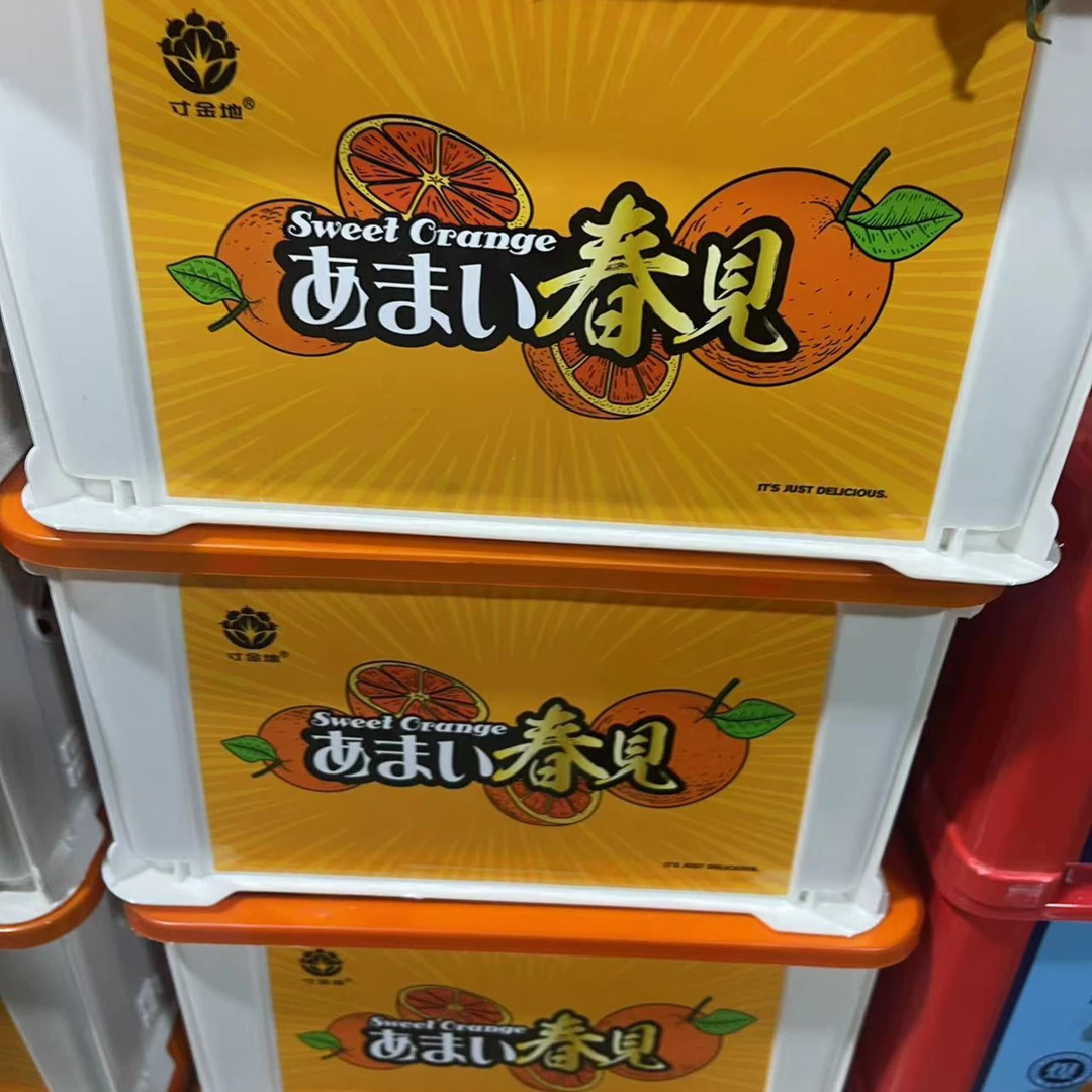 春见丑橘