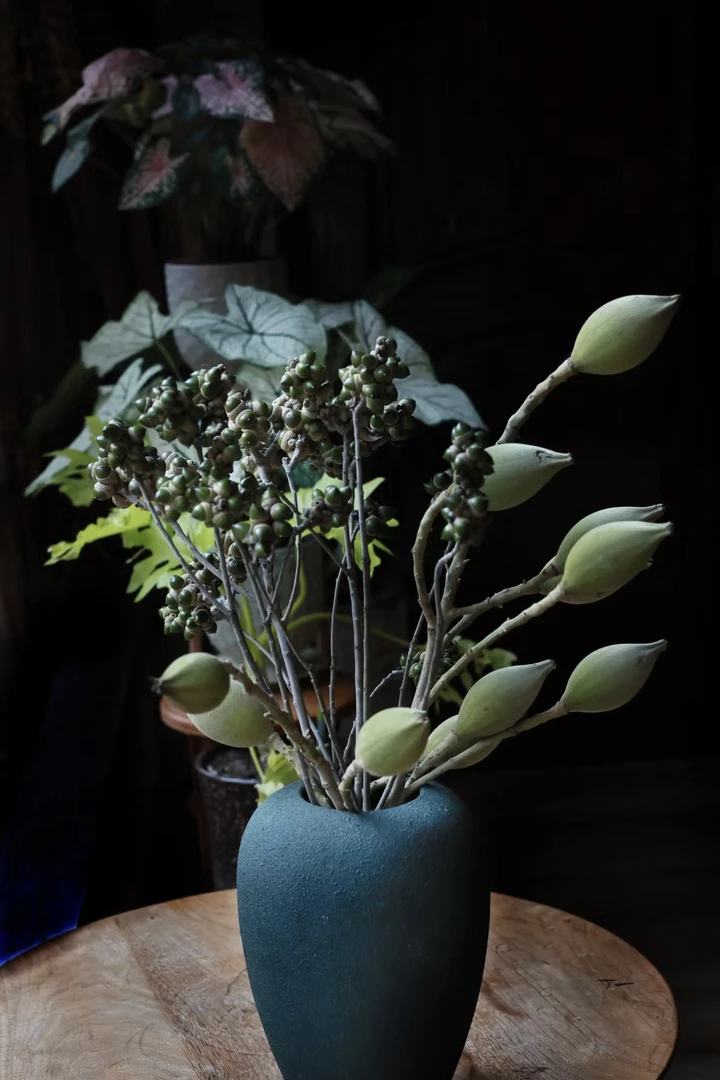 花予｜【木荷】木荷花高级装饰可做干花免打理