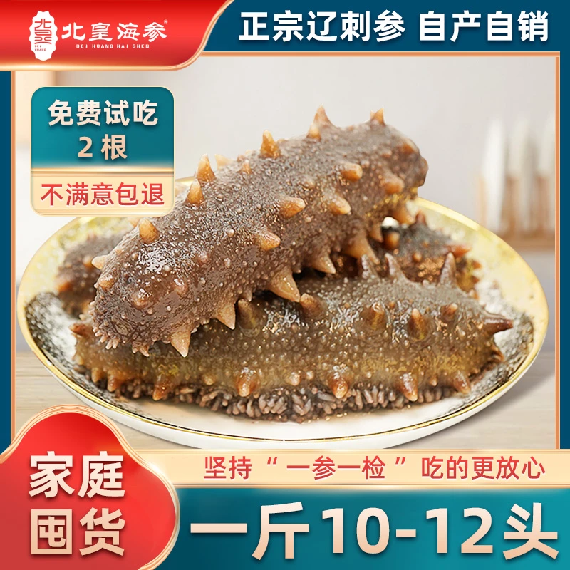 正宗大连北皇鲜食海参一斤装10-12头 营养丰富 新鲜解冻即食-XH