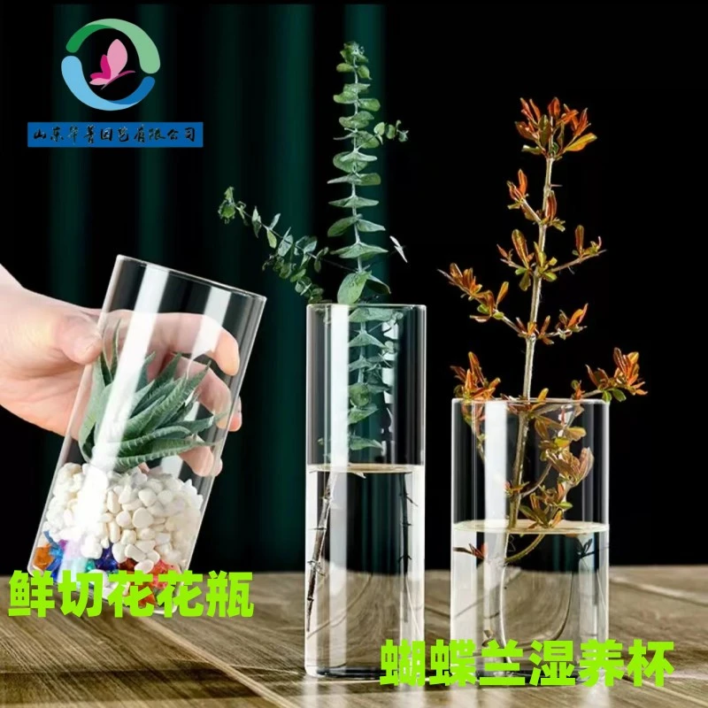 蝴蝶兰花瓶水培器皿客厅玻璃花瓶插花水培湿养瓶PET材质玻璃