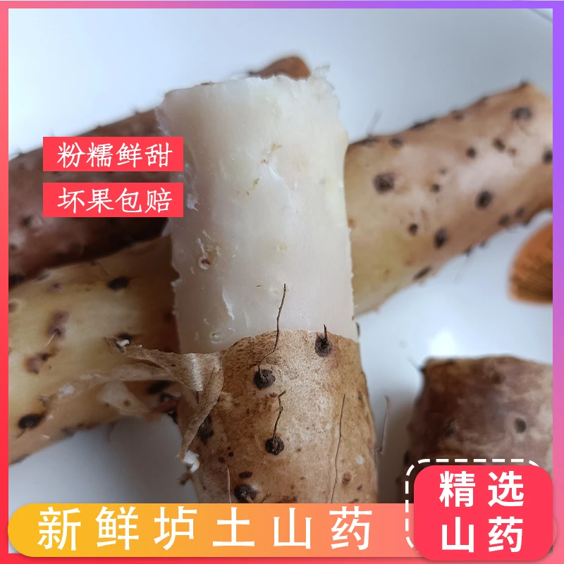 河南焦作温县铁棍怀山药   断果