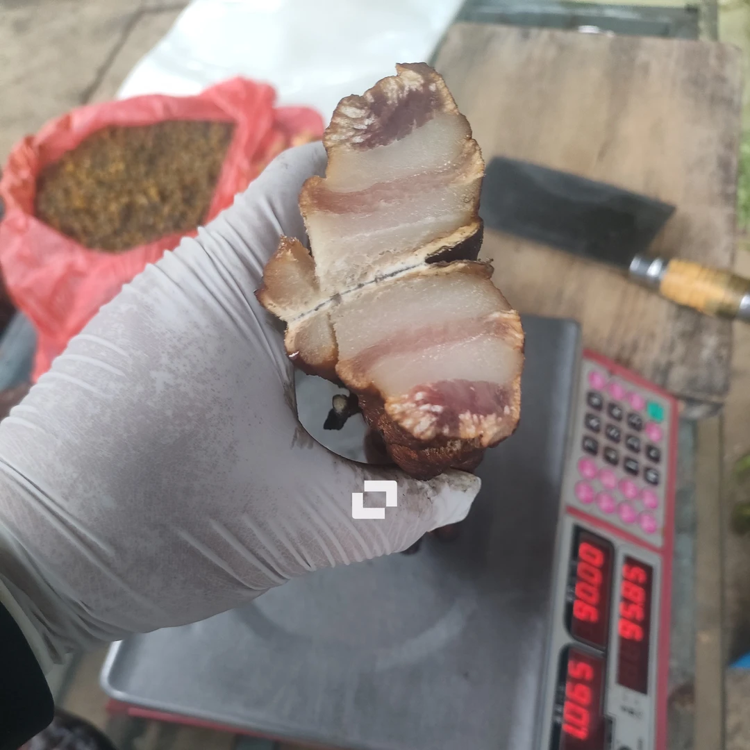 耒阳农家白色苦瓜