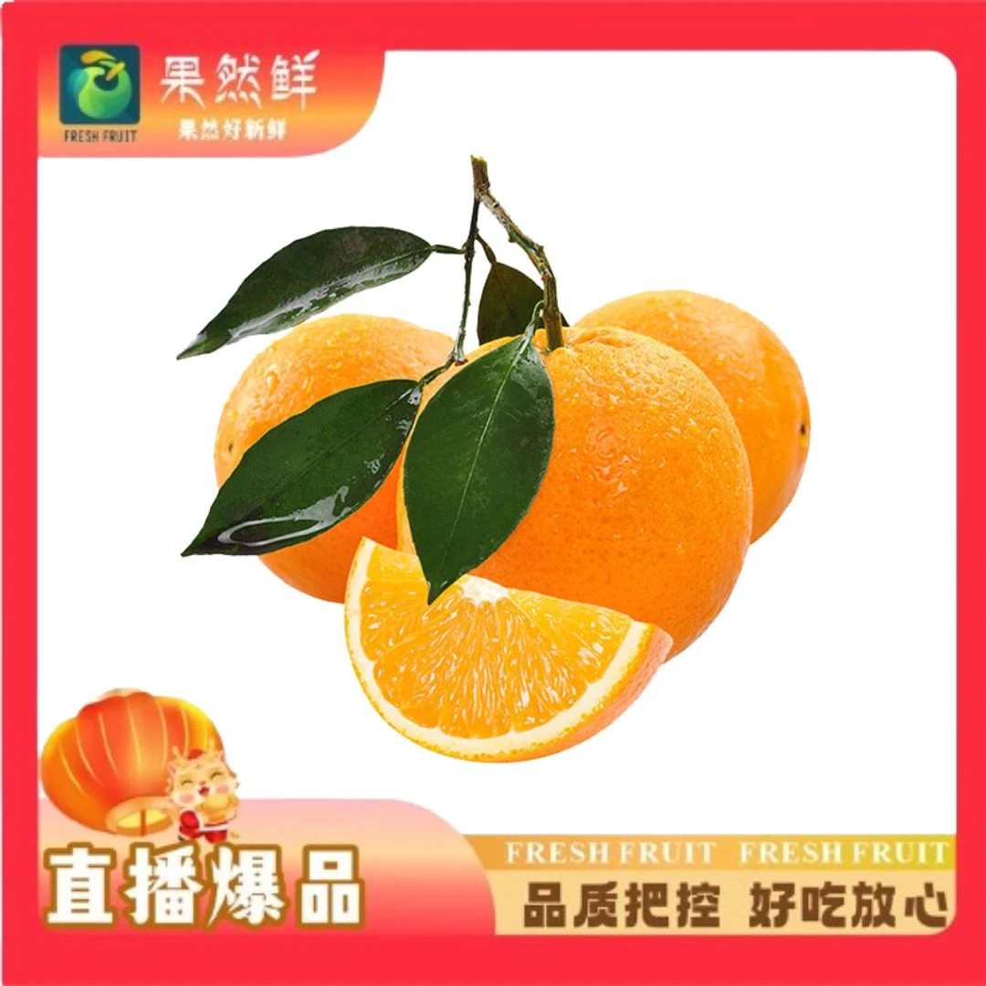 伦晚橙-1斤(约500g)