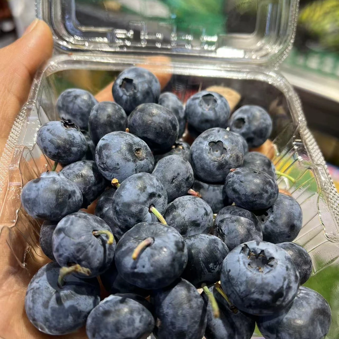 云南大蓝莓一盒