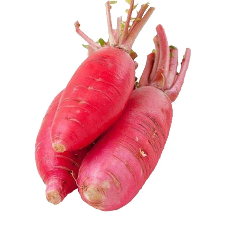 新鲜水萝卜 约500g