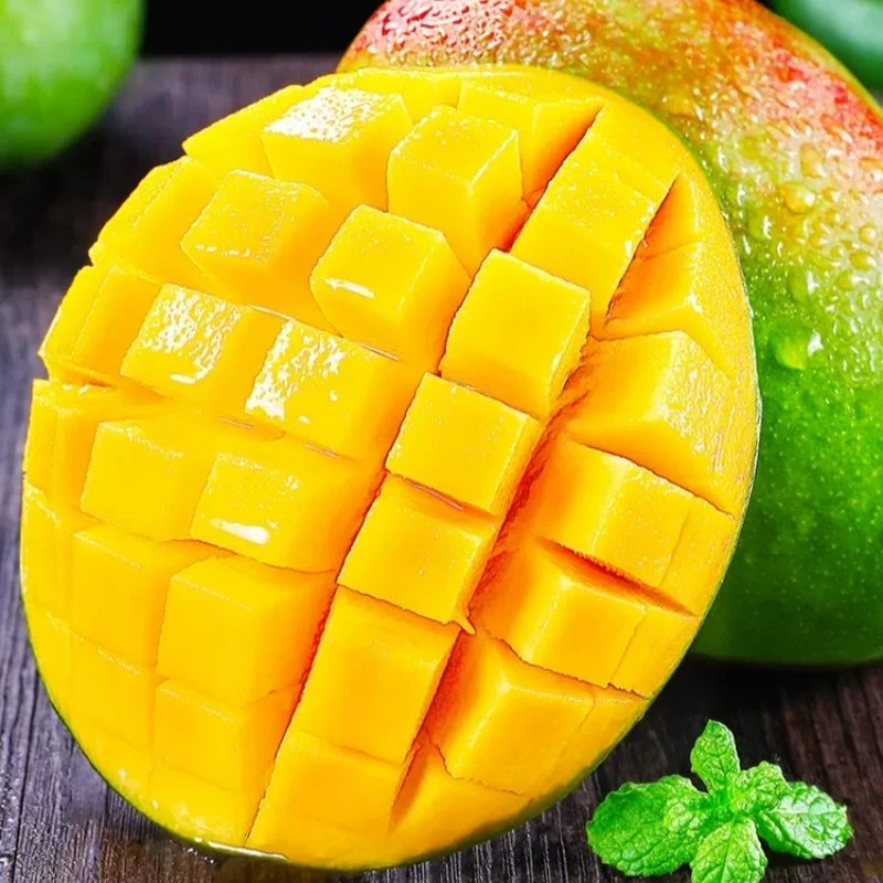 【葛洲坝】四川攀枝花凯特大芒果酸甜多汁核薄无丝芒果味道浓郁