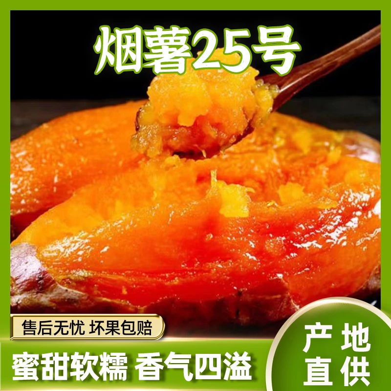 正宗烟薯25号蜜薯糖心红薯新鲜3/4.5斤番薯农家沙地烤地瓜包邮