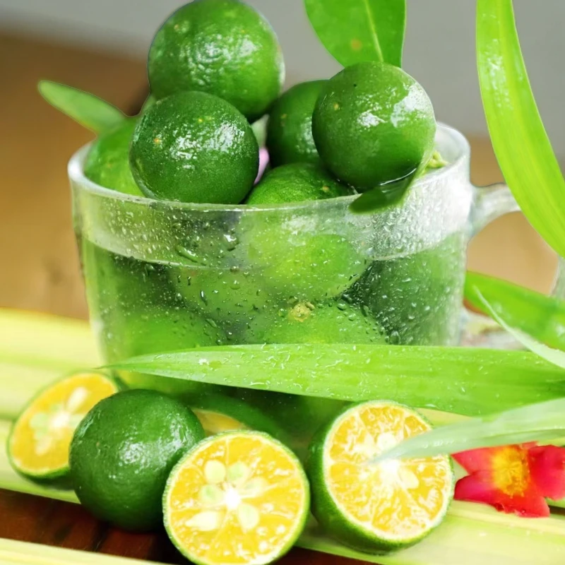 金桔小青柠金桔新鲜小金橘青金桔子水果青柠鲜果柠檬奶茶榨汁大果