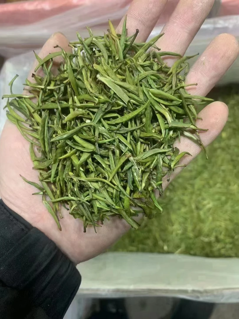 云南绿茶 茶叶 青针 单芽绿茶 500克 高山云雾 滇绿 香浓耐泡